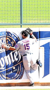 Time Tebow, crashes into padded fence. Wire mesh infill panel is present.