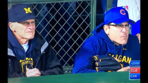 A Wire Mesh Infill Panel spotted at Wrigley Field, during World Series.