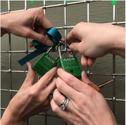 Wire Mesh - Lock Fence Meets Lock Crimp | Darby Wire Mesh