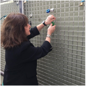 American Association for Cancer Research (AACR) CEO Margaret Foti places a Love Lock on Philadelphia’s new Hope Fence. Courtesy of AACR